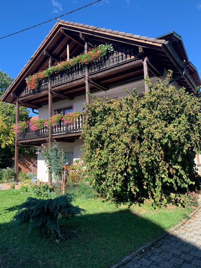 Gaestehaus Zum Rhein Rheinhausen Bagian luar foto